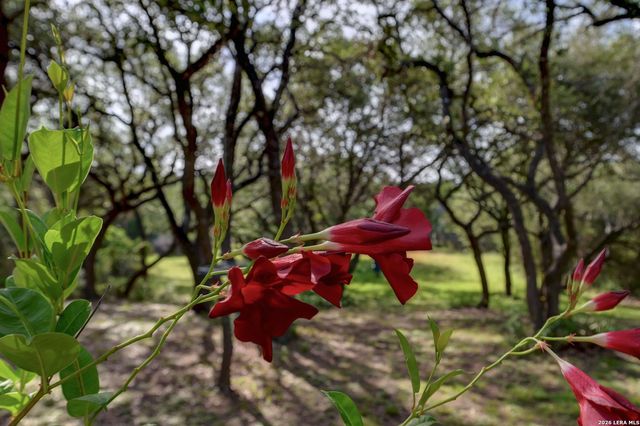 7810 Covey Roost, Boerne, TX 78015