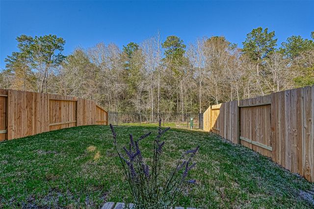559 Long Leaf Pine Drive, Montgomery, TX 77316
