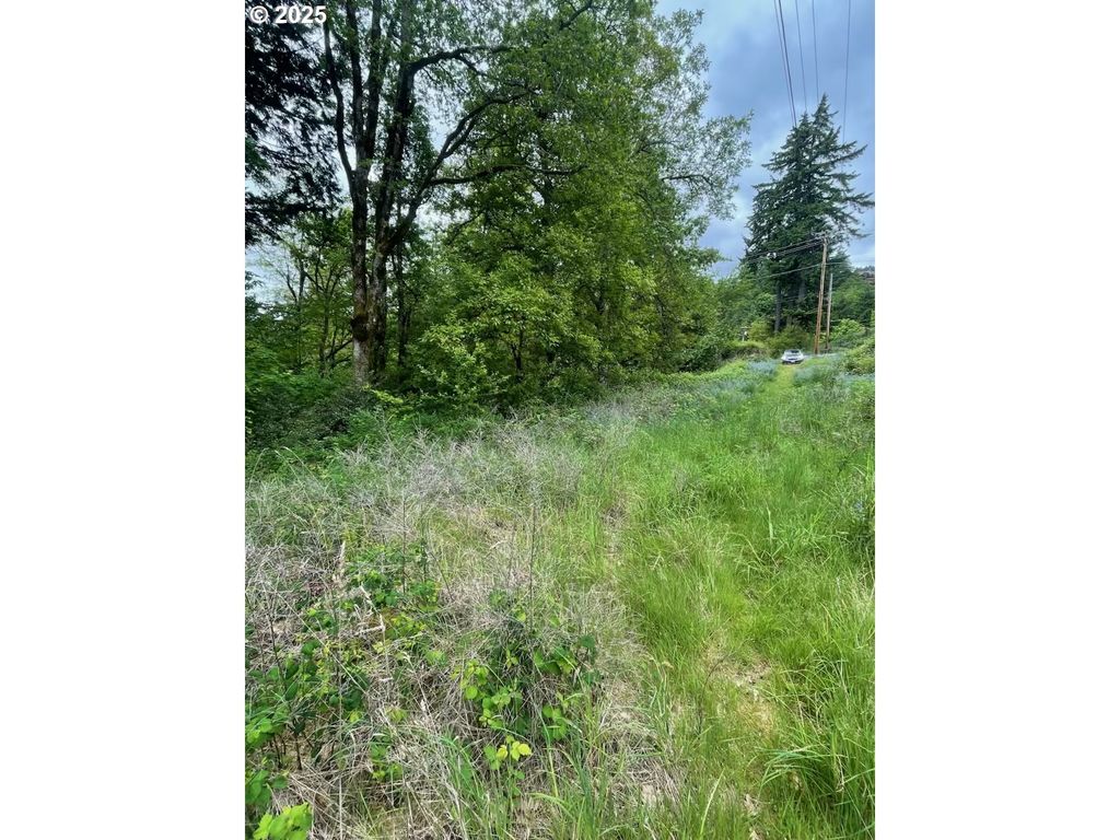 CARSON DEPOT Rd, Carson, WA 98610