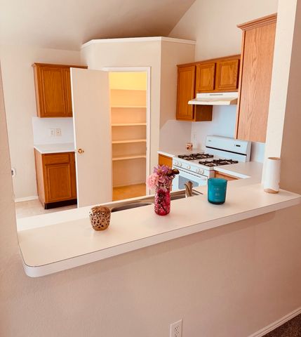 9100 Warren Drive, Mckinney, TX 75071