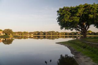 2650 Greenwood Terrace G125, Boca Raton, FL 33431