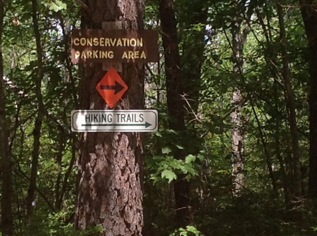 16 Hodsdon Shore Road, Ossipee, NH 03814