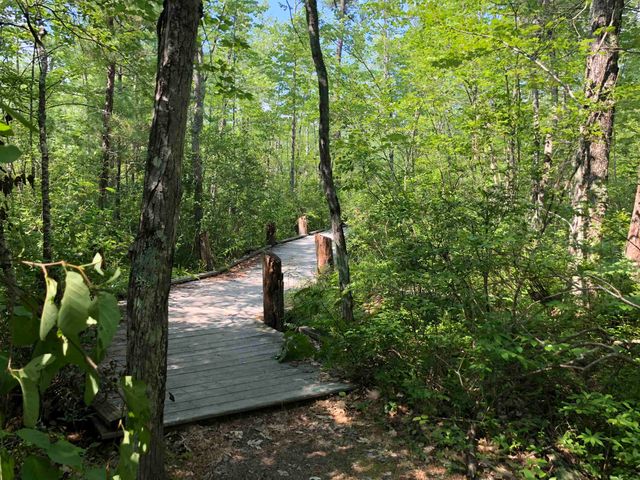 16 Hodsdon Shore Road, Ossipee, NH 03814