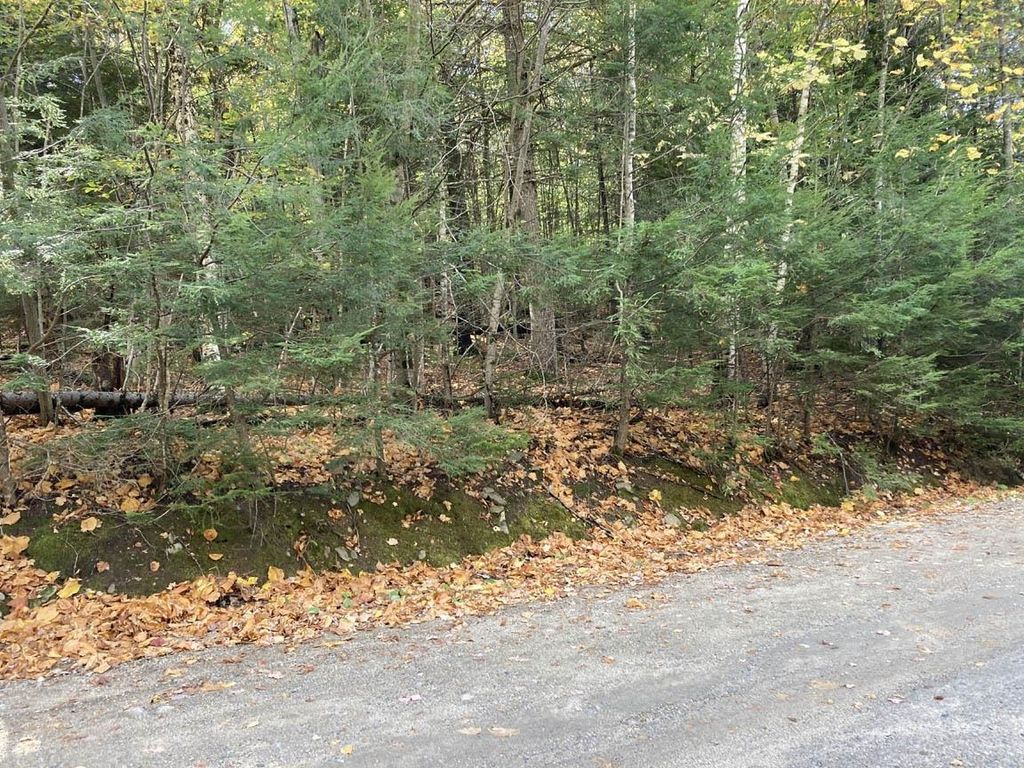 Abnaki Trail, Campton, NH 03223