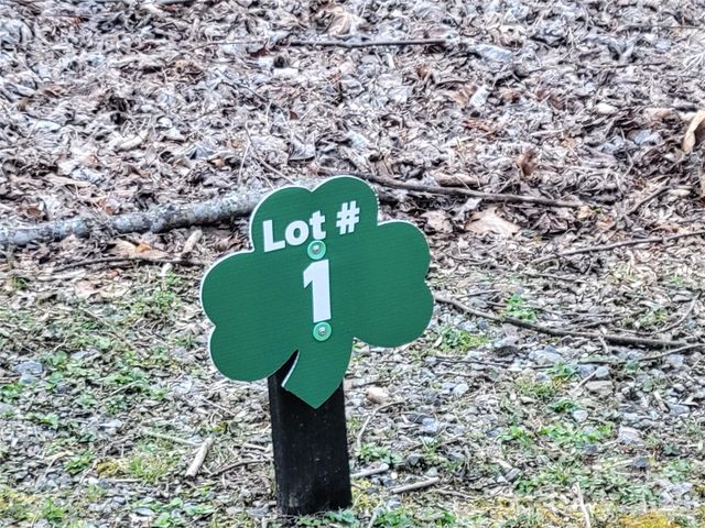 00 Covecrest Lane 1 & 5, Maggie Valley, NC 28751