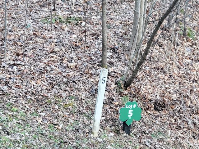 00 Covecrest Lane 1 & 5, Maggie Valley, NC 28751