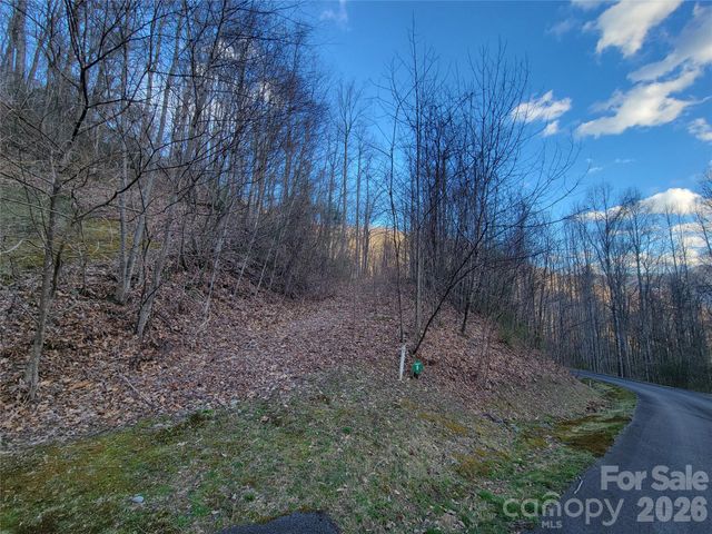 00 Covecrest Lane 1 & 5, Maggie Valley, NC 28751
