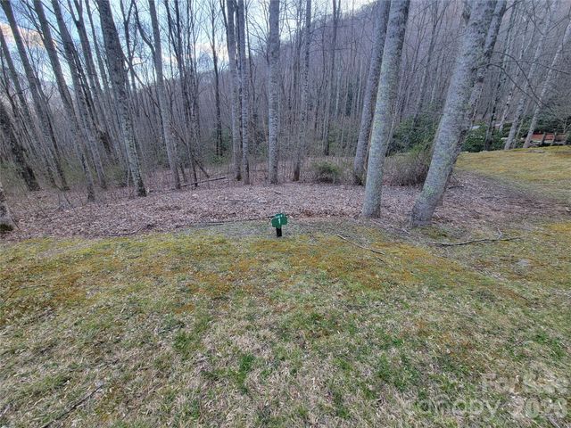 00 Covecrest Lane 1 & 5, Maggie Valley, NC 28751
