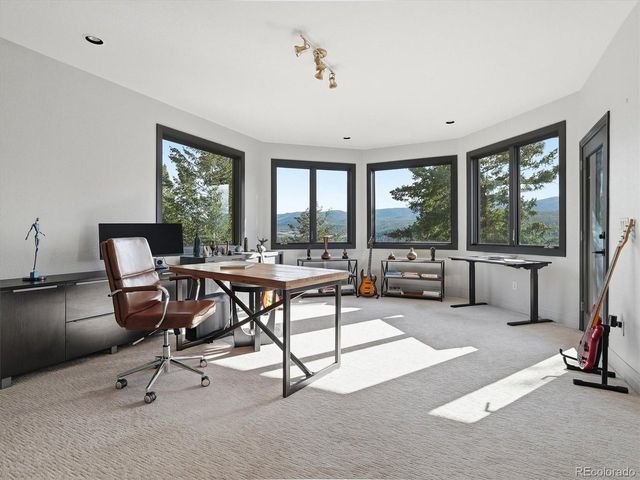 7260 S Frog Hollow Ln, Evergreen, CO 80439