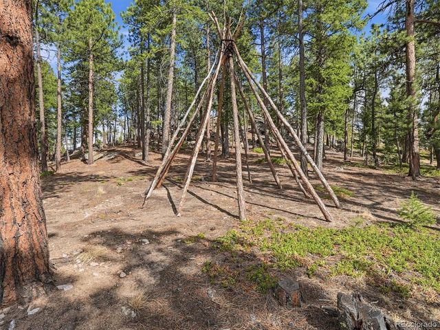 7260 S Frog Hollow Ln, Evergreen, CO 80439