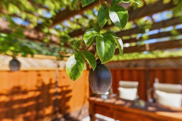 884 Hollenbeck Avenue, Sunnyvale, CA 94087