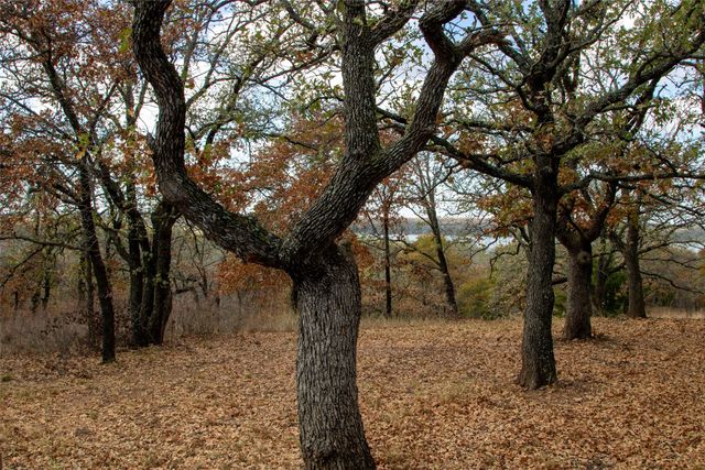 371 Nocona Drive, Nocona, TX 76255