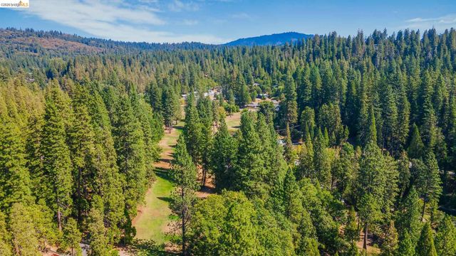 23023 Strauch Dr, Twain Harte, CA 95383