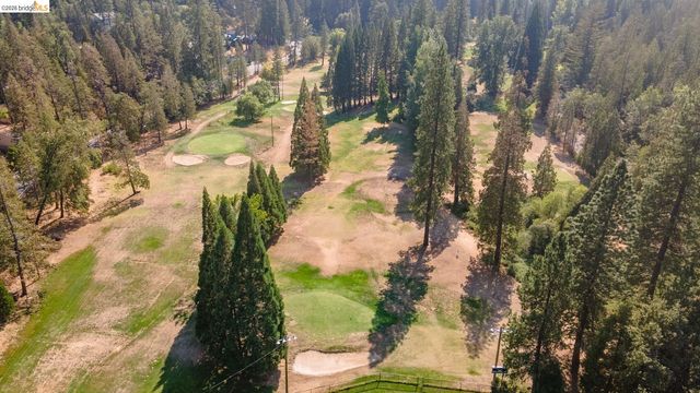 23023 Strauch Dr, Twain Harte, CA 95383