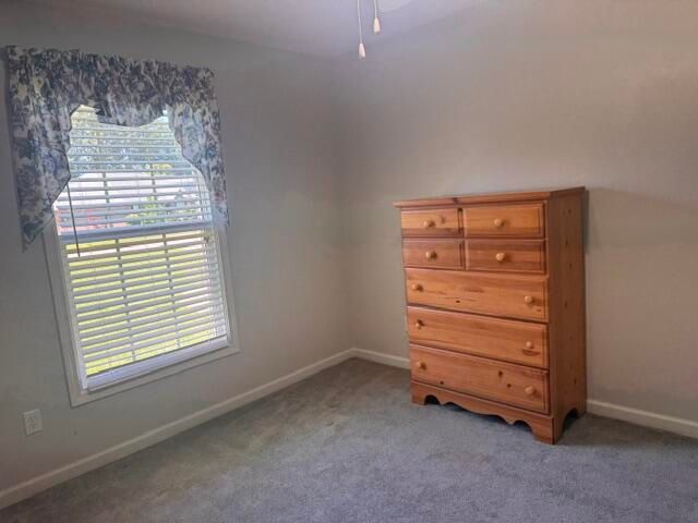 1032 Longleaf Drive, Manning, SC 29102