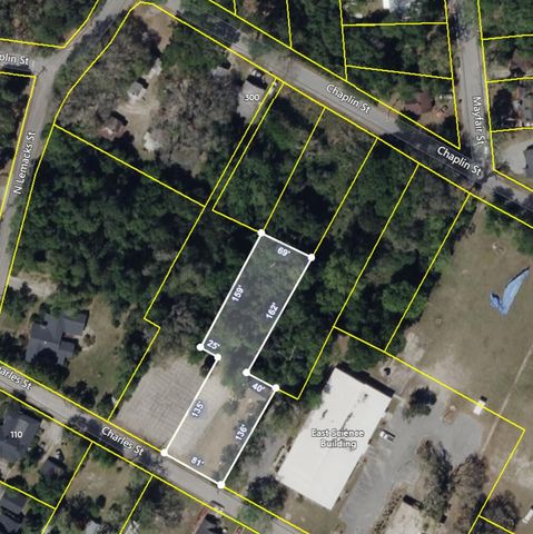 113 Charles Street, Walterboro, SC 29488