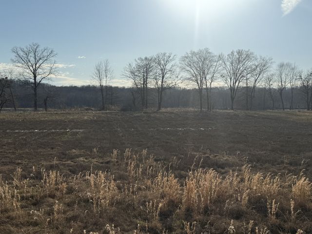 425 Hardin Bottom Rd, Clifton, TN 38425