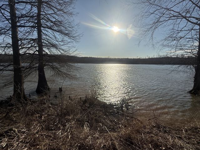 425 Hardin Bottom Rd, Clifton, TN 38425