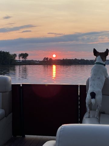 425 Hardin Bottom Rd, Clifton, TN 38425