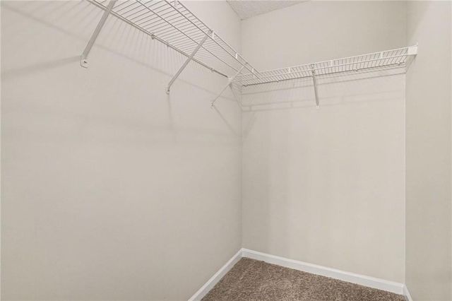 1067 Misty Meadows Point, Hampton, GA 30228