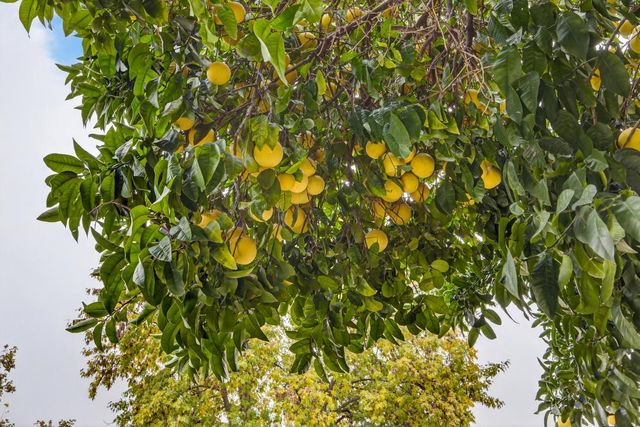 525 Dudley Dr, Roseville, CA 95678