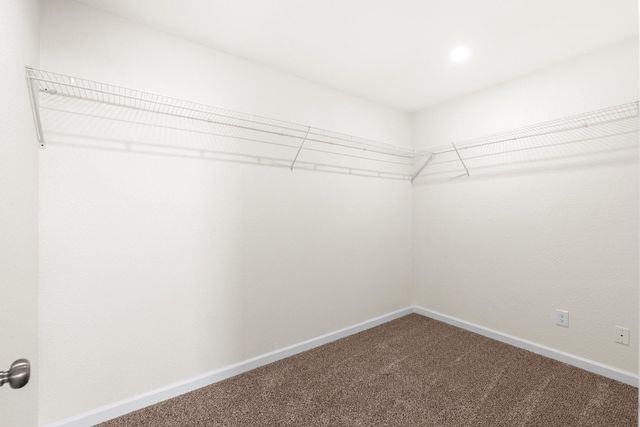 1309 Bragg Street, Houston, TX 77009