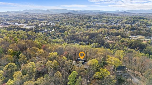 299 Eagles Nest Mountain Road, Blue Ridge, GA 30513