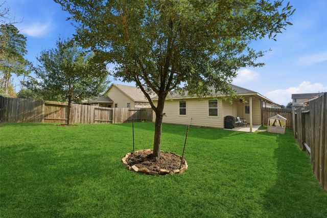 11518 Castle Nugent Court, Conroe, TX 77304