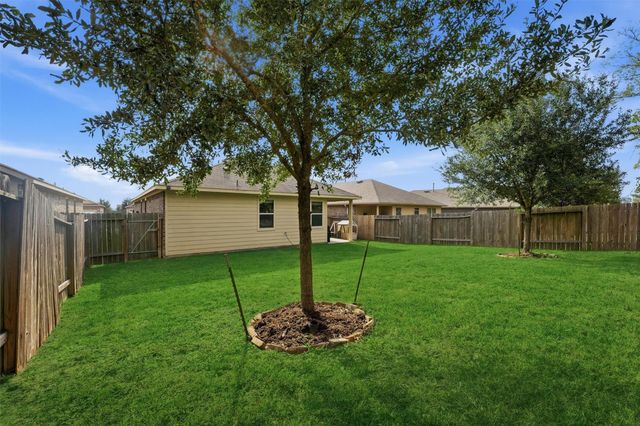 11518 Castle Nugent Court, Conroe, TX 77304