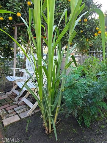 351 E 92nd, Los Angeles, CA 90003