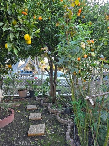 351 E 92nd, Los Angeles, CA 90003