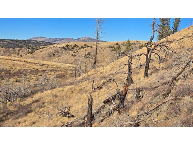 7741 Van Giesen Rd, Fort Garland, CO 81133