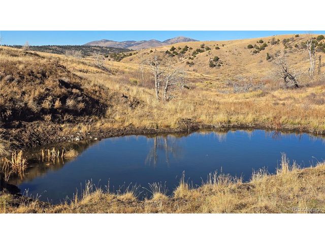 7741 Van Giesen Rd, Fort Garland, CO 81133