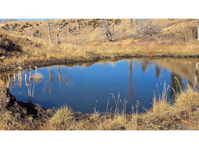 7741 Van Giesen Rd, Fort Garland, CO 81133