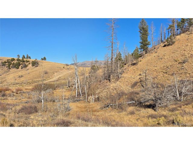 7741 Van Giesen Rd, Fort Garland, CO 81133