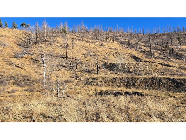 7741 Van Giesen Rd, Fort Garland, CO 81133