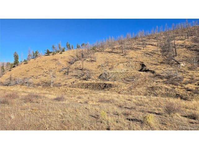 7741 Van Giesen Rd, Fort Garland, CO 81133