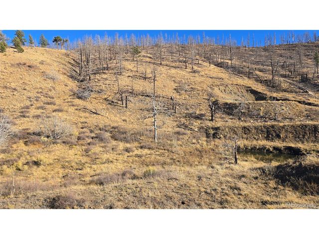 7741 Van Giesen Rd, Fort Garland, CO 81133