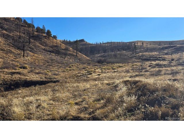 7741 Van Giesen Rd, Fort Garland, CO 81133