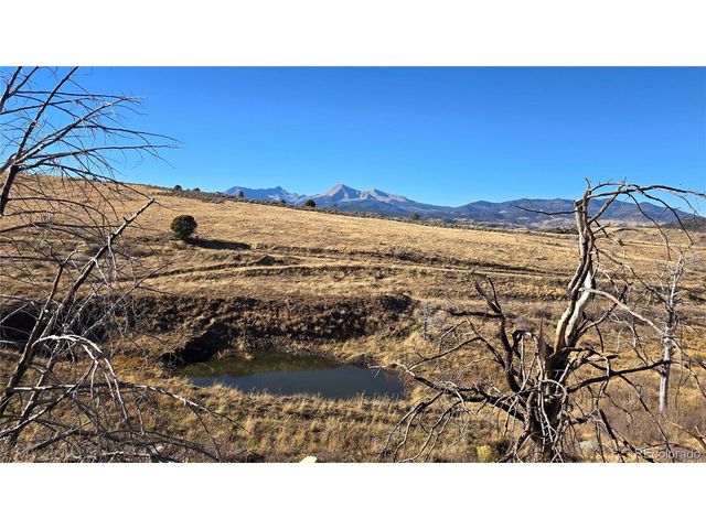 7741 Van Giesen Rd, Fort Garland, CO 81133