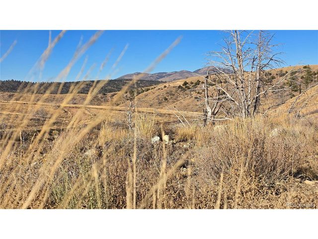 7741 Van Giesen Rd, Fort Garland, CO 81133