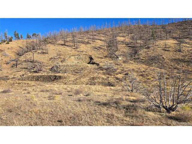 7741 Van Giesen Rd, Fort Garland, CO 81133