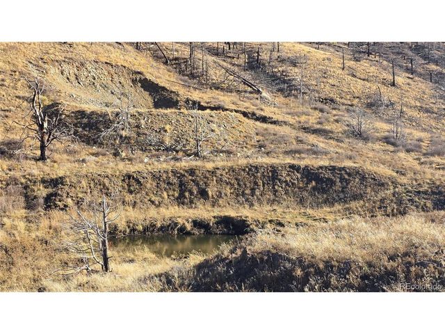 7741 Van Giesen Rd, Fort Garland, CO 81133