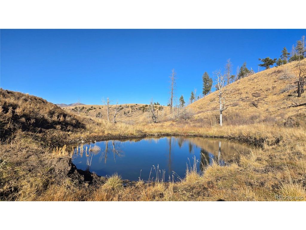 7741 Van Giesen Rd, Fort Garland, CO 81133