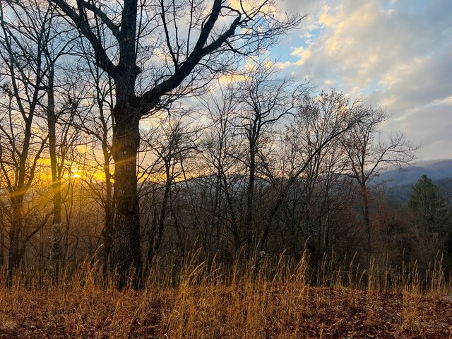 00 Aster Trail, Marble, NC 28905