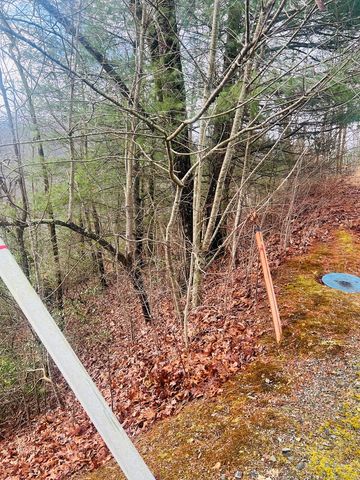 00 Aster Trail, Marble, NC 28905