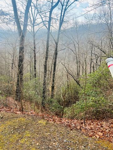 00 Aster Trail, Marble, NC 28905