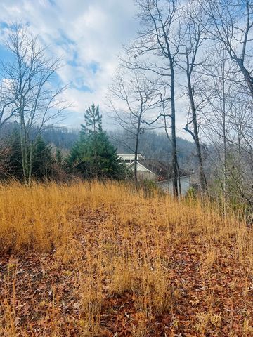 00 Aster Trail, Marble, NC 28905