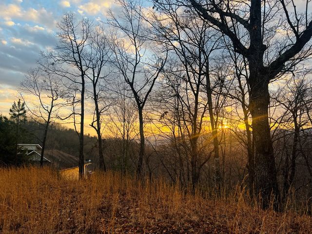 00 Aster Trail, Marble, NC 28905