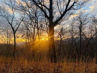 00 Aster Trail, Marble, NC 28905